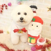 【本店】2017年11月30日のワンちゃん達♪