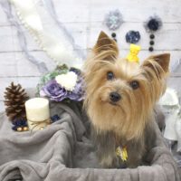 【池下店】2017年11月16日のワンちゃん達♪