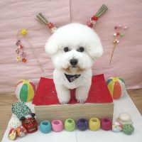 【池下店】2017年12月30日のワンちゃん達♪