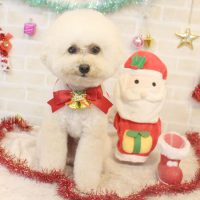 【本店】2017年12月24日のワンちゃん達♪