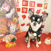 【本店】2018年01月21日のワンちゃん達♪