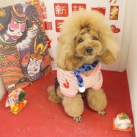 【本店】2018年01月22日のワンちゃん達♪