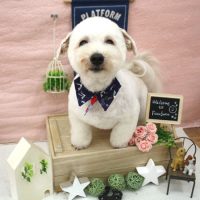 【池下店】2018年1月13日のワンちゃん達♪