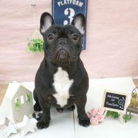 【池下店】2018年1月14日のワンちゃん達♪