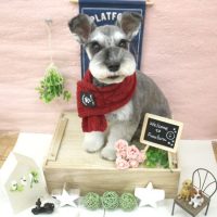 【池下店】2018年1月15日のワンちゃん達♪