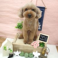 【池下店】2018年1月18日のワンちゃん達♪