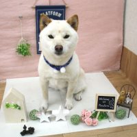【池下店】2018年1月25日のワンちゃん達♪