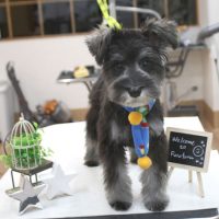 【池下店】2018年1月29日のワンちゃん達♪