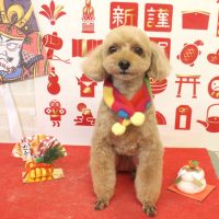 【本店】2018年1月10日のワンちゃん達♪