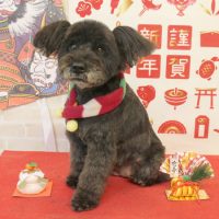 【本店】2018年1月13日のワンちゃん達♪