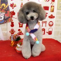 【本店】2018年01月15日のワンちゃん達♪