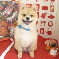 【本店】2018年01月18日のワンちゃん達♪