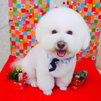 【山手店】2018年1月6日のワンちゃん達♪