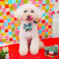 【山手店】2018年1月8日のワンちゃん達♪