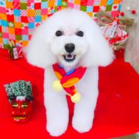 【山手店】2018年1月11日のワンちゃん達♪