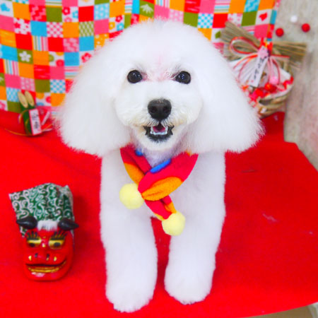 【山手店】2018年1月11日のワンちゃん達♪