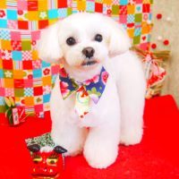 【山手店】2018年1月13日のワンちゃん達♪