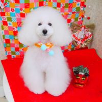 【山手店】2018年1月18日のワンちゃん達♪