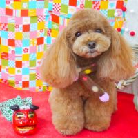 【山手店】2018年1月20日のワンちゃん達♪