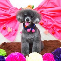 【山手店】2018年1月28日のワンちゃん達♪