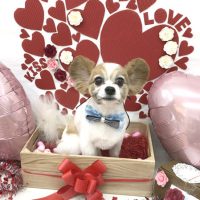 【池下店】2018年2月28日のワンちゃん達♪