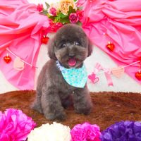 【山手店】2018年2月18日のワンちゃん達♪