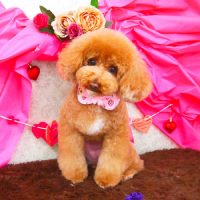 【山手店】2018年2月22日のワンちゃん達♪