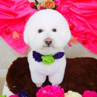 【山手店】2018年2月23日のワンちゃん達♪