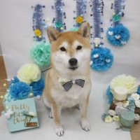 【池下店】2018年3月1日のワンちゃん達♪