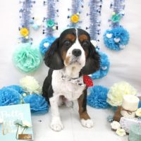 【池下店】2018年3月10日のワンちゃん達♪