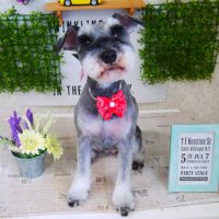 【山手店】2018年3月5日のワンちゃん達♪