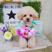 【山手店】2018年3月12日のワンちゃん達♪