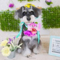 【山手店】2018年3月17日のワンちゃん達♪