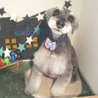 【本店】2018年4月15日のワンちゃん達♪