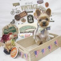 【池下店】2018年5月6日のワンちゃん達♪