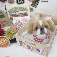 【池下店】2018年5月14日のワンちゃん達♪