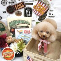 【池下店】2018年5月19日のワンちゃん達♪