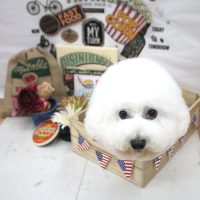 【池下店】2018年5月20日のワンちゃん達♪