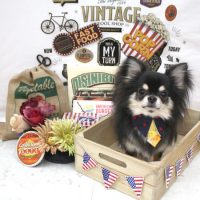 【池下店】2018年5月21日のワンちゃん達♪