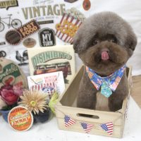 【池下店】2018年5月23日のワンちゃん達♪