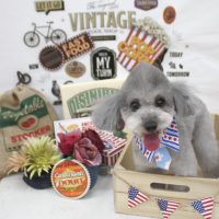 【池下店】2018年5月27日のワンちゃん達♪