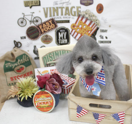 【池下店】2018年5月27日のワンちゃん達♪