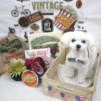 【池下店】2018年5月28日のワンちゃん達♪