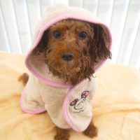 【山手店】2018年5月9日のワンちゃん達♪