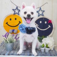 【山手店】2018年5月25日のワンちゃん達♪