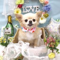 【池下店】2018年6月23日のワンちゃん達♪