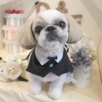 【本店】2018年6月21日のワンちゃん達♪