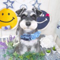 【山手店】2018年6月3日のワンちゃん達♪