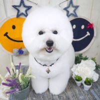 【山手店】2018年6月8日のワンちゃん達♪