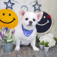 【山手店】2018年6月21日のワンちゃん達♪
